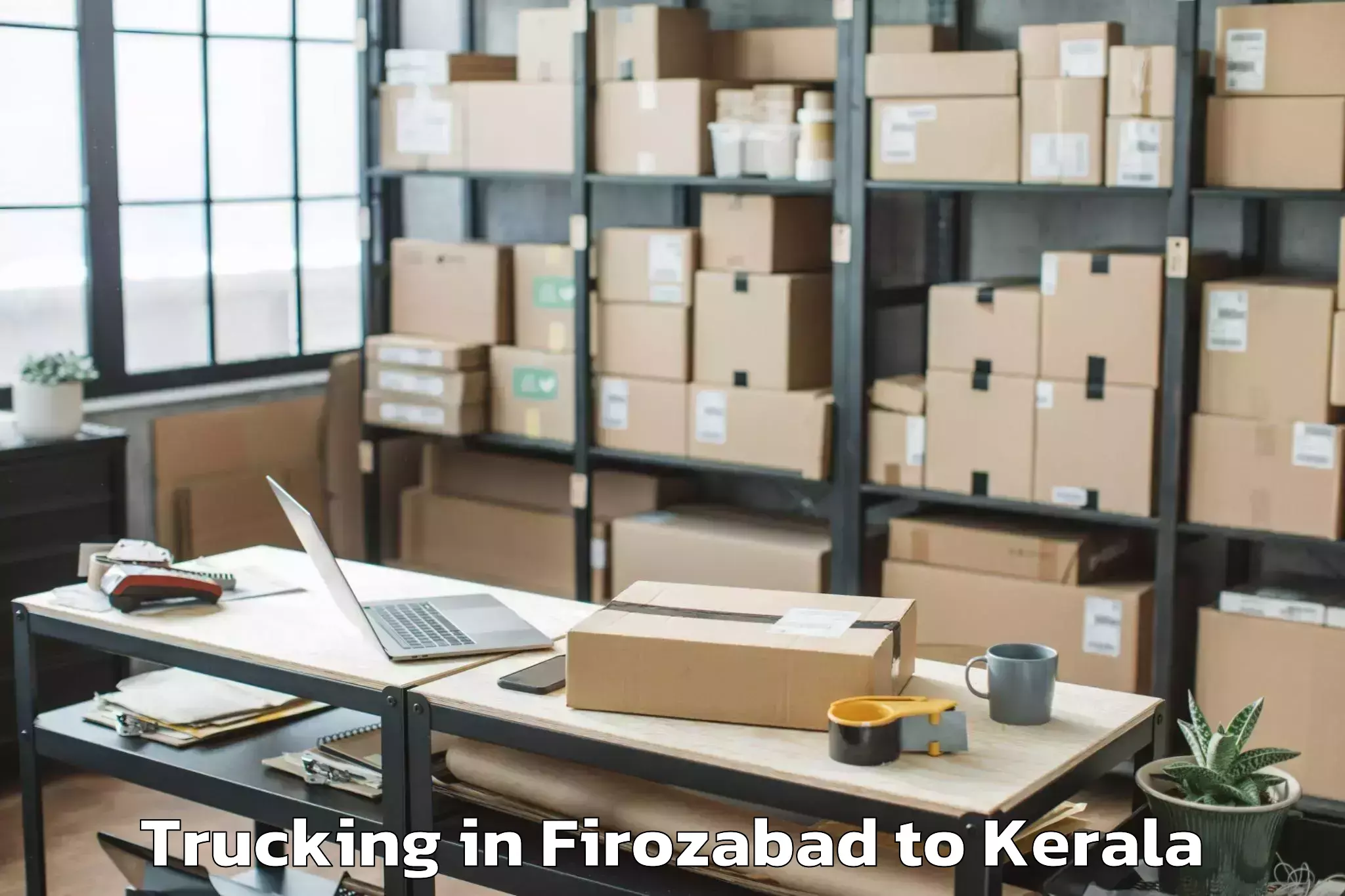 Affordable Firozabad to Selex Mall Thrissur Trucking